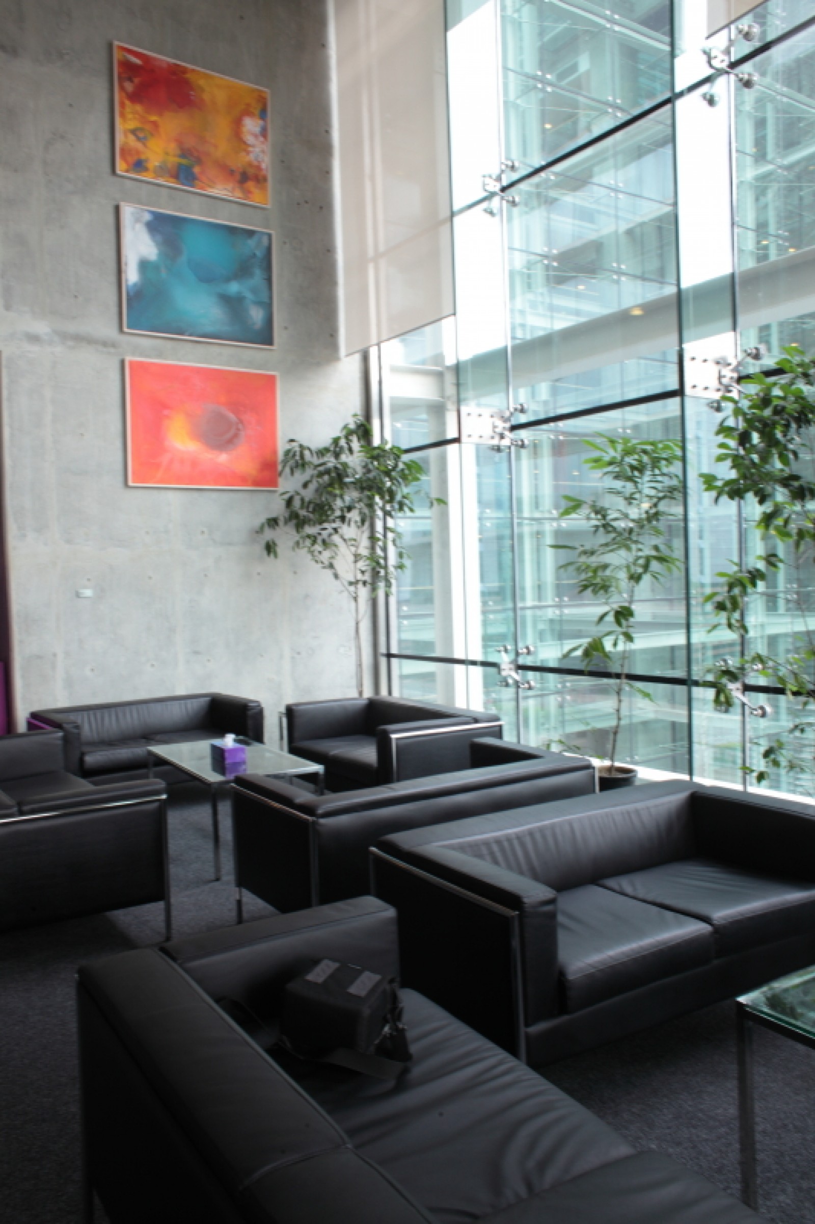 Portfolio Image